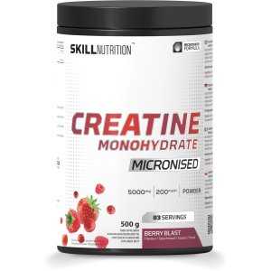 Skill Nutrition Micronised Creatine Monohydrate Flavoured, 500
