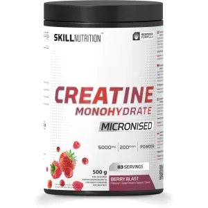 Skill Nutrition Micronised Creatine Monohydrate Flavoured, 500